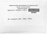 Sphaeria silphii image